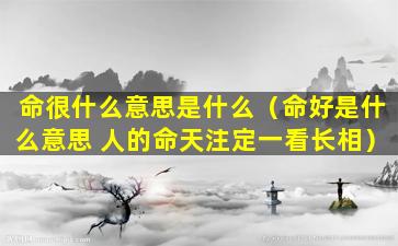 命很什么意思是什么（命好是什么意思 人的命天注定一看长相）